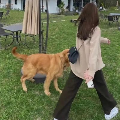 早安公主
